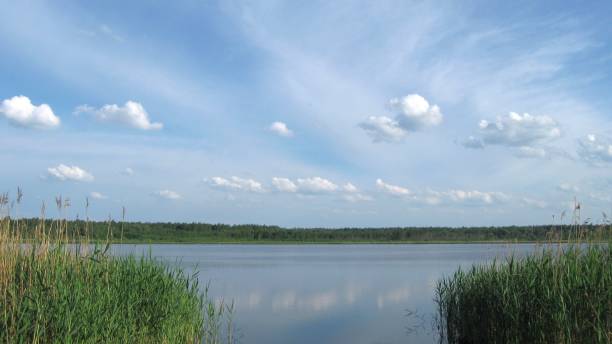 istock On the shore of the lake 962521634