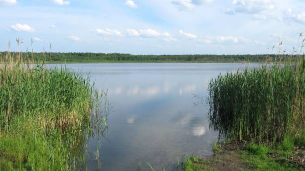 istock On the shore of the lake 962523136