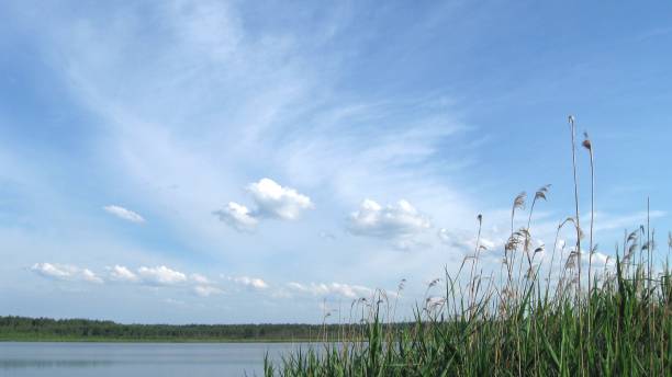istock On the shore of the lake 962523268