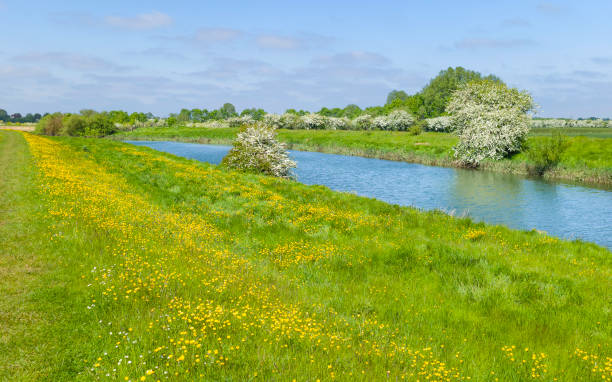 istock River Hull on a fine spring morning, Beverley, Yorkshire, UK. 962524508