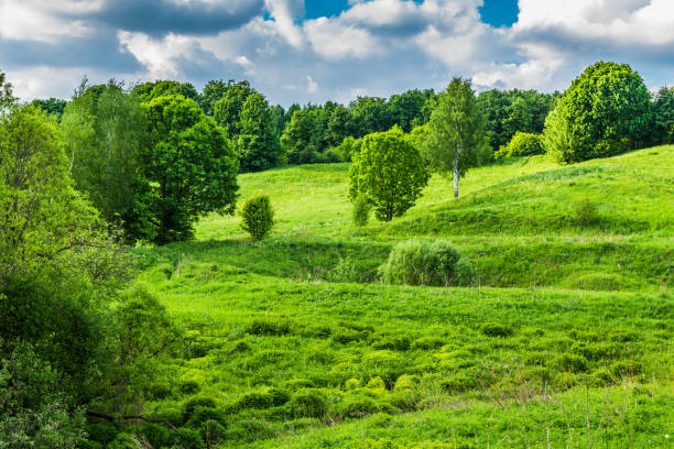istock Beautiful summer countryside with hills, trees and sky with clouds 962524654