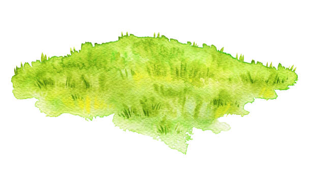 akwarela zielona łąka - green grass obrazy stock illustrations