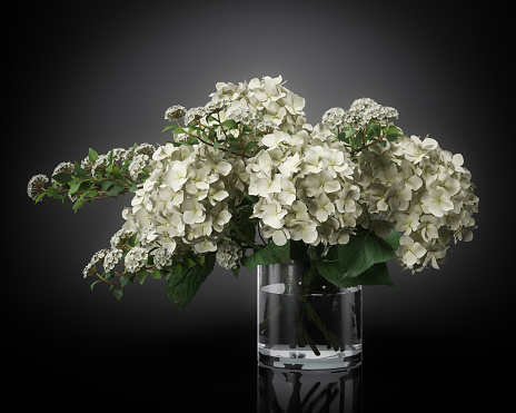 Digitally generated bouquet of white hydrangea flowers, in a glass vase, isolated on black background.\n\nThe scene was rendered with photorealistic shaders and lighting in Autodesk® 3ds Max 2016 with  V-Ray 3.6