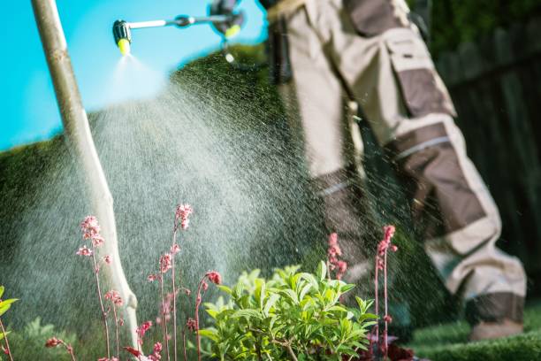 Fighting Insects in the Garden Gardener Fighting Insects in the Garden by Insecticide Whole Backyard Garden. apply fertilizer stock pictures, royalty-free photos & images