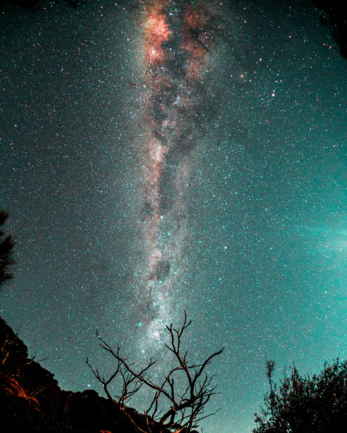 The Milky Way in the Southern Hemisphere from Tower Hill Park in Warrnambool, Victoria, Australia.
