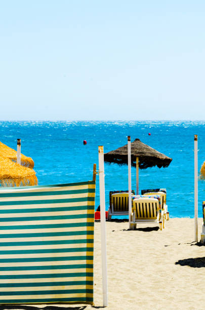 Beautiful sandy beach with palm tree umbrellas and blue sea, vacation