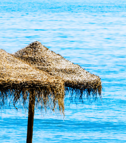 istock Beautiful sandy beach with palm tree umbrellas and blue sea 962544116