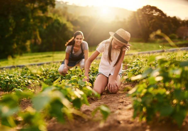 Agriculture teacher guiding teenage students of diverse backgrounds during school farming activity, observing organic seedlings and recording growth data in collaborative outdoor classroom