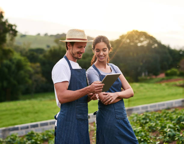 istock According to this, we're good to go 962546536
