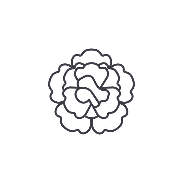 ilustrações de stock, clip art, desenhos animados e ícones de floral carnation line icon concept. floral carnation flat vector sign, symbol, illustration. - caryophyllaceae