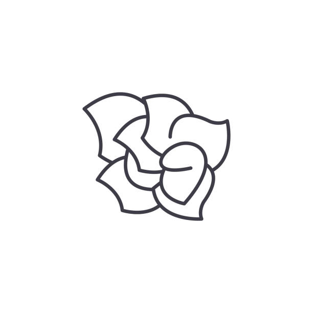 gardenia linienkonzept symbol. gardenia flache vektor zeichen, symbol, illustration. - summer flower head macro backgrounds stock-grafiken, -clipart, -cartoons und -symbole
