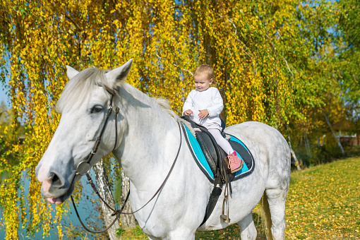 A little baby girl is riding a horse in autumn meadow.  Autumn concept