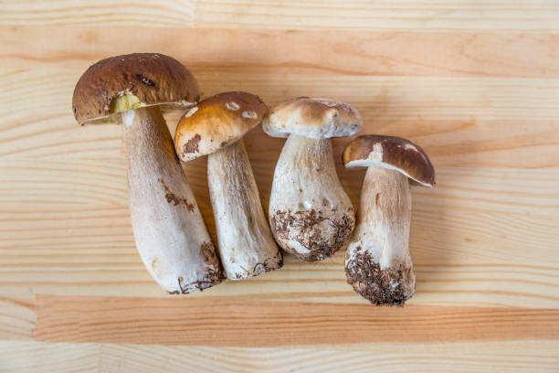 Mushrooms on wooden table