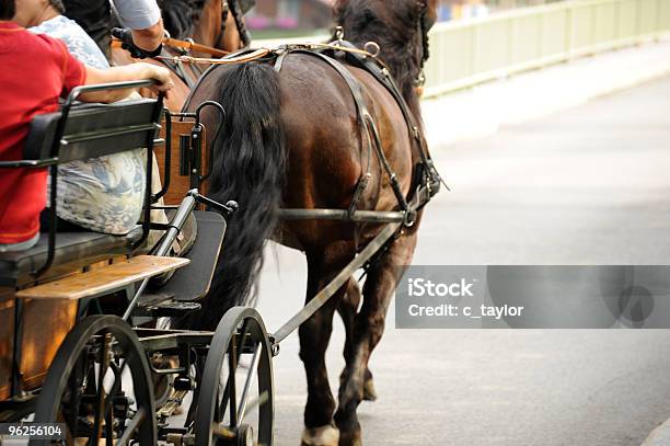 Carruagem A Cavalos - Fotografias de stock e mais imagens de A caminho - A caminho, Alegria, Animal Doméstico