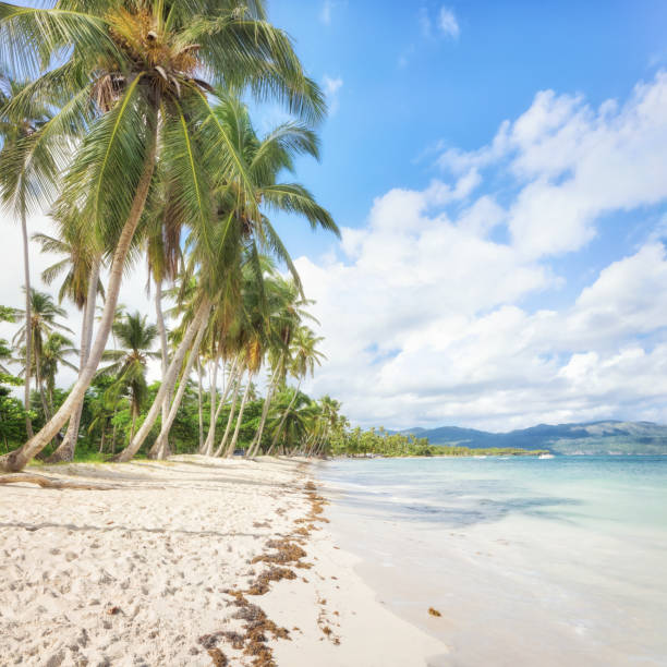 istock Vacation in Dominican Republic 962562950