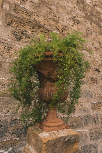 istock Palma de Mallorca, Spanish municipality 962563580