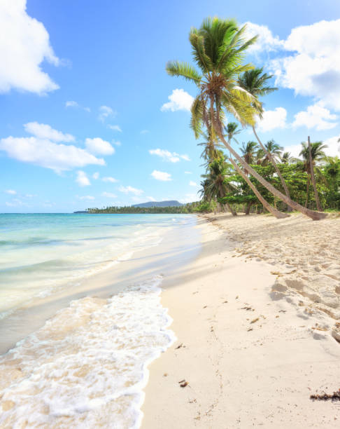 istock Vacation in Dominican Republic 962563950