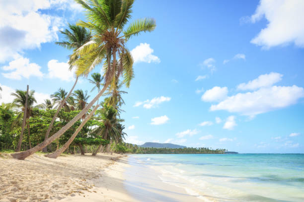 istock Vacation in Dominican Republic 962563984