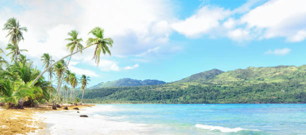 istock Vacation in Dominican Republic 962567572