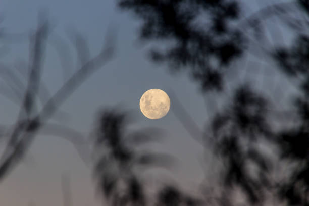 istock moonrise in the mountains of the Bocaina mountains 962568774