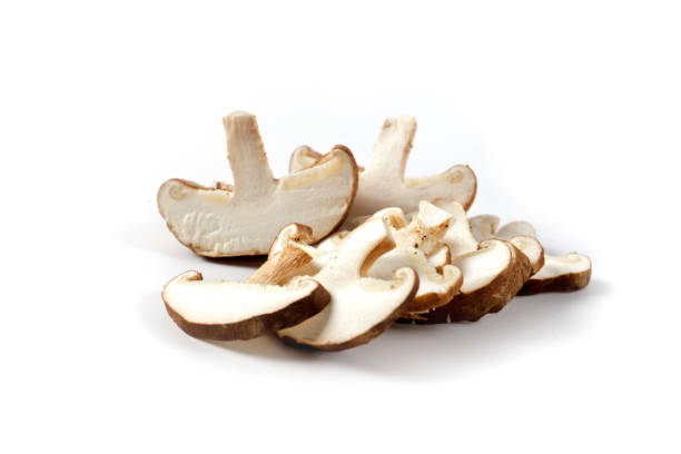 istock Shiitake mushroom on the White background 962568862