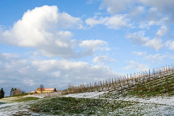 Wintry landscape with yellow farm stock photo