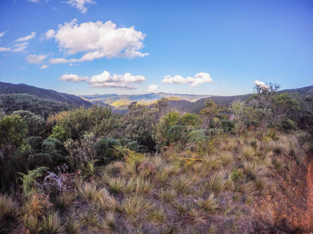 istock walk along the Brazilian trails to the Bocaina mountain range 962570348