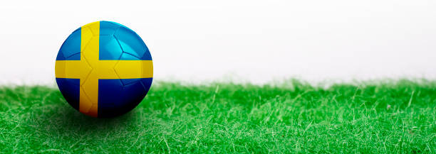 istock Panoramic Green grass isolated on white background and flagged soccer ball 962579372