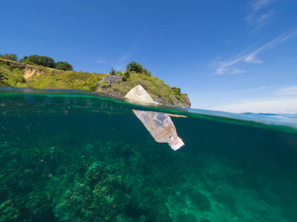 Plastics on the surface Over/under split photo of a plastic bottle floating on the surface of a coral lagoon plastic marine life stock pictures, royalty-free photos & images
