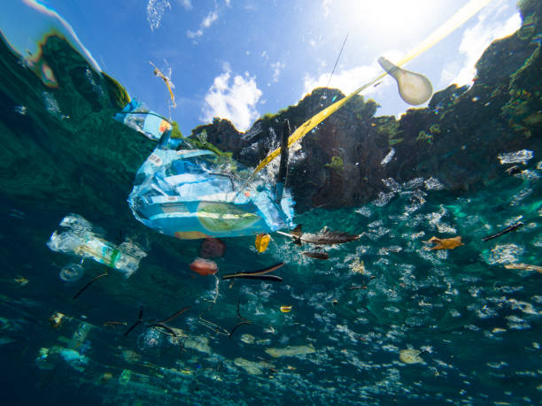 Plastic waste Plastic debris floating on the ocean surface, shot underwater. plastic pollution photos stock pictures, royalty-free photos & images