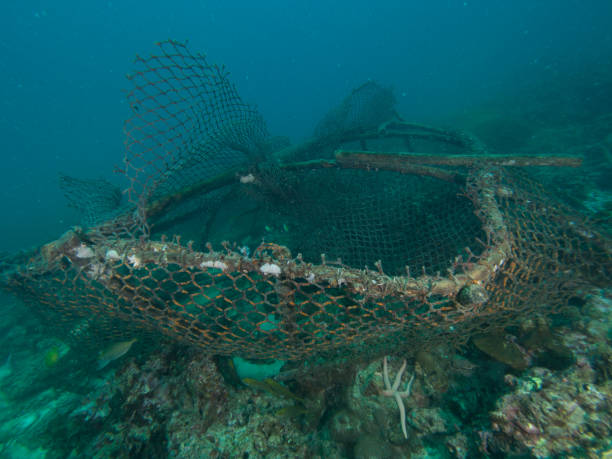 istock Forgotten fishing cage 962590890