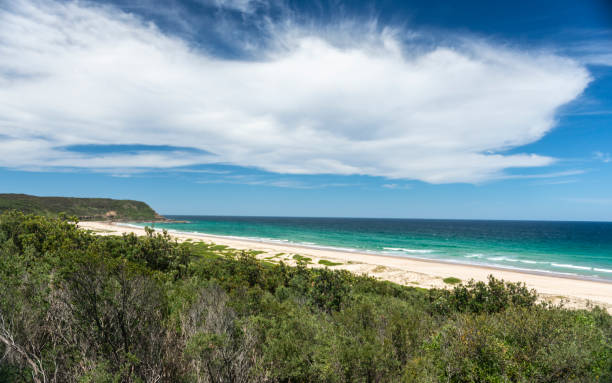 istock Beautiful beach in Munmorah State conservation area. 962591292