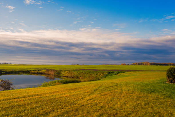 field with lake on sunset in Latvia on cloudy sky background