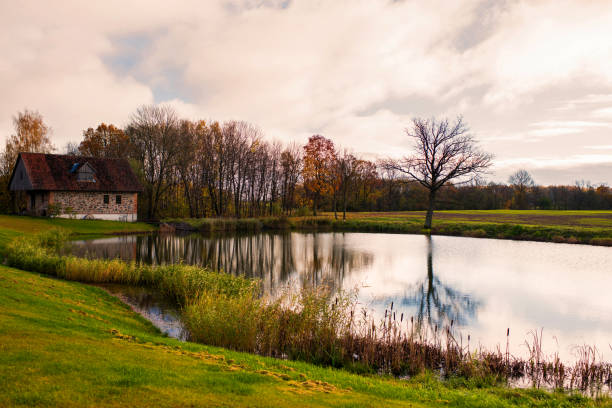 istock field with lake on sunset in Latvia 962591818