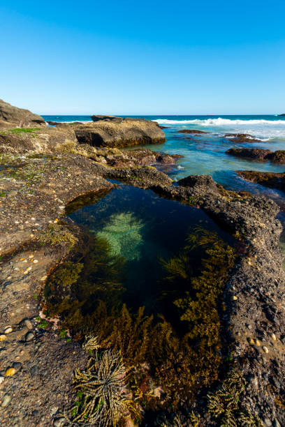 istock Beautiful beach in Munmorah State conservation area. 962592170