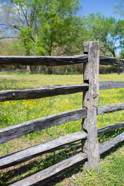 istock Old Split Rail Fence with a flower filled meadow in the background vertical 962592274