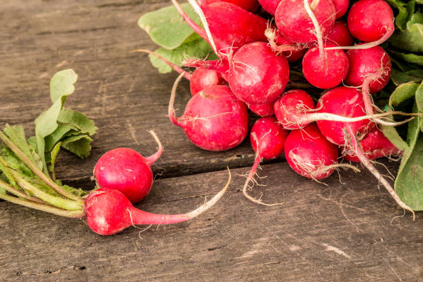 istock A bunch of radish on a rustic wooden background. 962599364