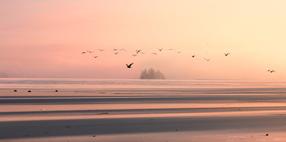 Birds flying over a frozen lake overlooking a tiny island in the horizon