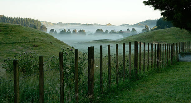 Morning mist, New Zealand rural scene. Morning mist, in valley beyond fence-line and fields, a New Zealand rural scene, Waitomo. waitomo caves stock pictures, royalty-free photos & images