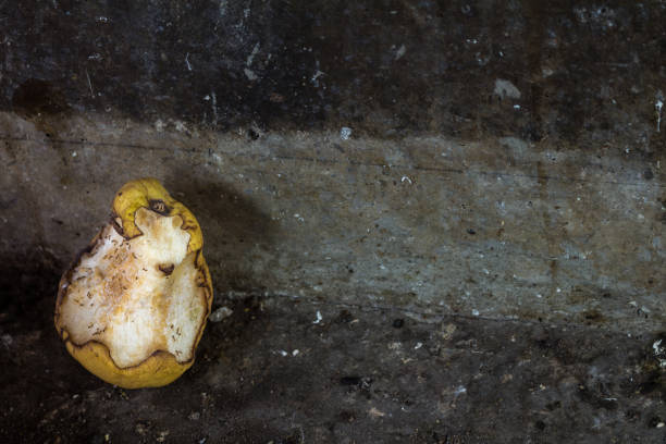 mordida de maçã amarela com formiga na rua de concreta suja. escuro - rotting apple fruit missing bite - fotografias e filmes do acervo