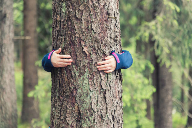 女の子抱擁木 - 木を抱く ストックフォトと画像