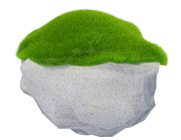 rock green grass isolated in white background - 3d rendering