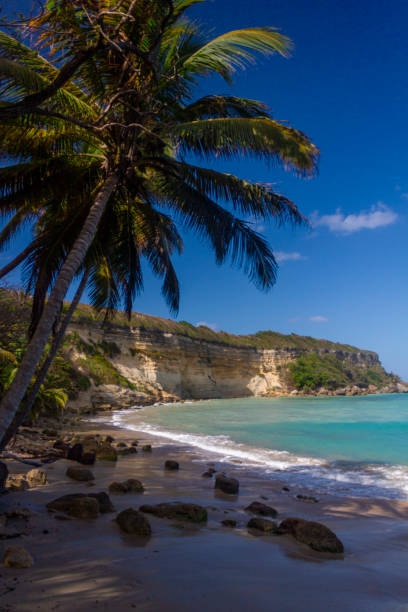 istock Tropical remote beach in Caribbean Sea 962630038