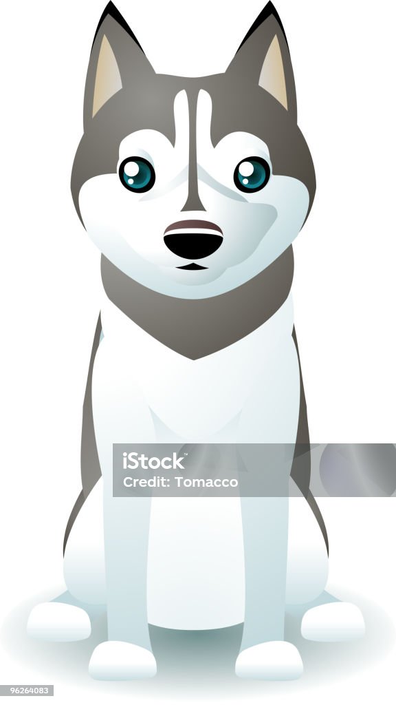 Carino Husky Siberiano in piedi Cane di razza Vista anteriore - arte vettoriale royalty-free di Cane