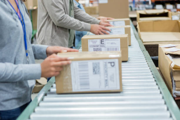 group of people process orders in distribution warehouse - post processing imagens e fotografias de stock