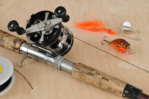 Rod, Baitcasting Reel and Other Fishing Gear  minnow fish photos stock pictures, royalty-free photos & images