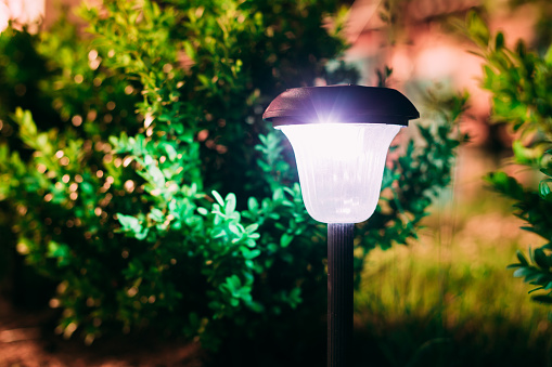 Close View Of Limelighted Energy-Saving Solar Powered Lantern Glowing White Light In The Garden. Backlighted Garden Plants Background.