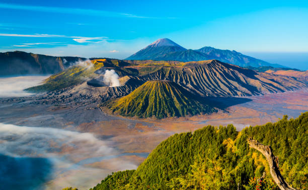 istock Bromo Mountain with fog and misty around Bromo mountain 962648658