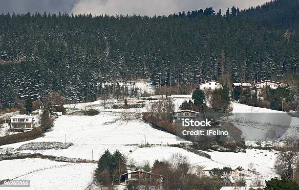 Paisaje Invernal Foto de stock y más banco de imágenes de Aire libre - Aire libre, Blanco - Color, Boscaje