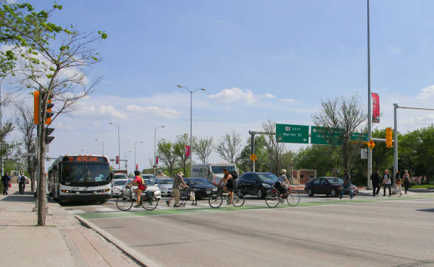 bikers and pedestrians crosswalk in a sunny day - urban scene canada city winnipeg imagens e fotografias de stock